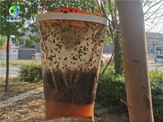 养殖场苍蝇捕捉器