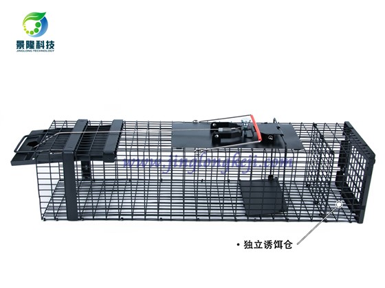 治理鸽舍黄鼠狼捕捉笼的使用步骤