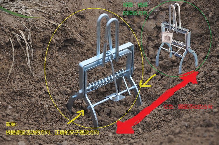 鼹鼠夹使用